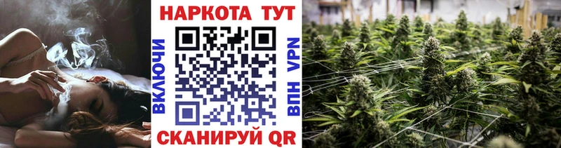 Где продают наркотики Новоалександровск Марихуана  СОЛЬ  ГАШИШ  Меф мяу мяу  Псилоцибиновые грибы  Метадон  Cocaine 