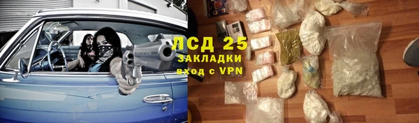 сатива Армянск
