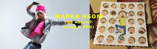 шишки Аркадак