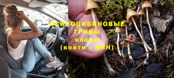 сатива Армянск