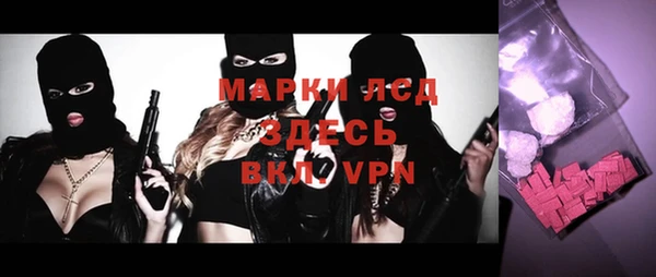 шишки Аркадак