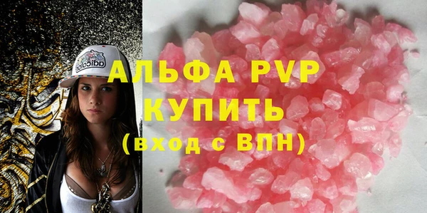 шишки Аркадак