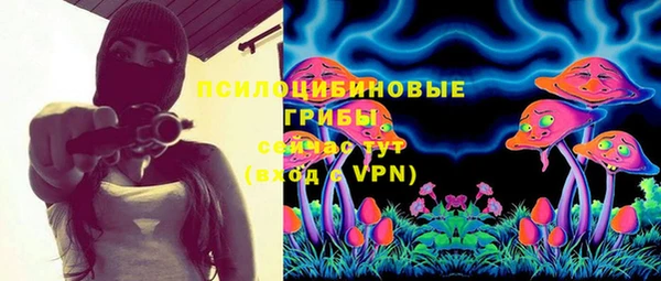 шишки Аркадак