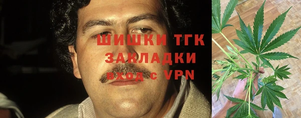 шишки Аркадак