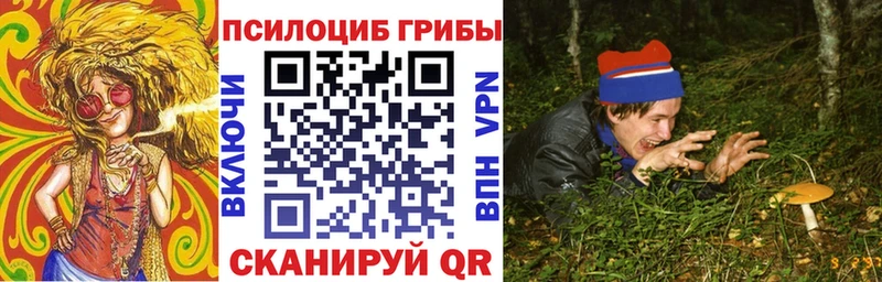 Галлюциногенные грибы мухоморы  где купить наркоту  mega   Новоалександровск 